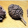 Pinecone 松果