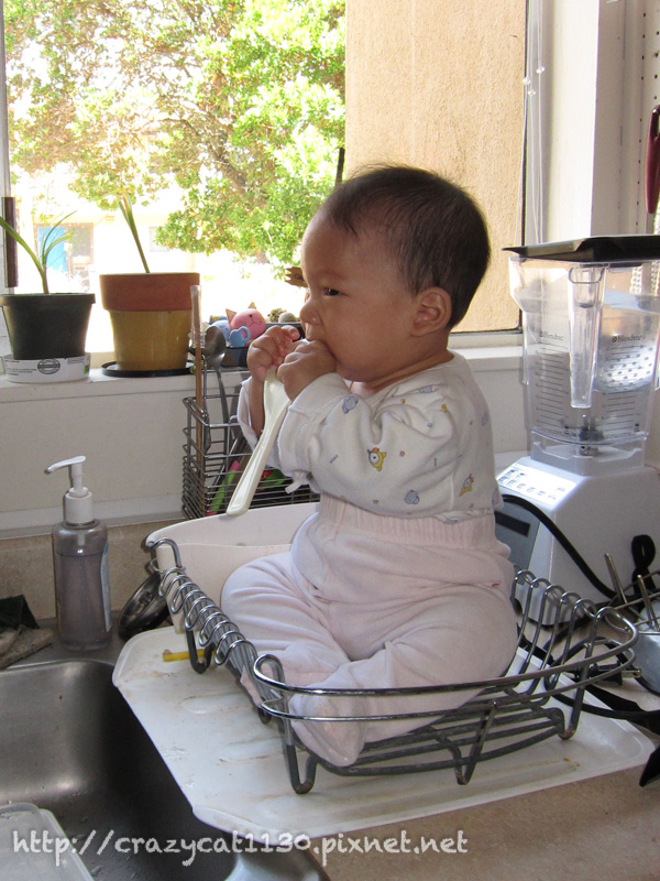 6/18 很努力地吃著 6/18 很努力地吃著