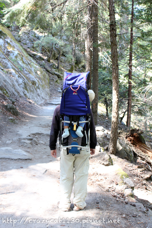 6/27 睡著的Q寶就一直把半顆頭晃在外面..