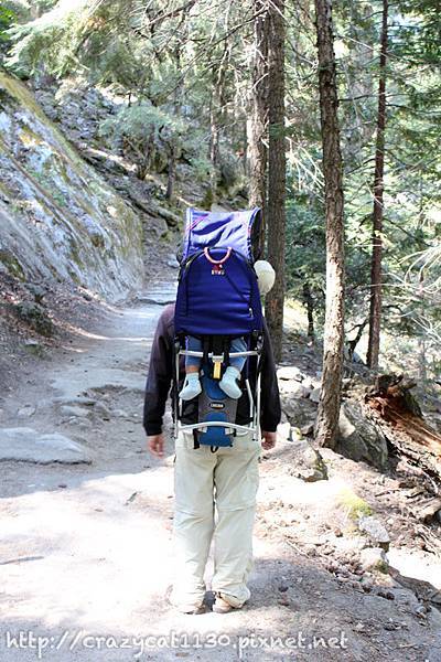 6/27 睡著的Q寶就一直把半顆頭晃在外面..