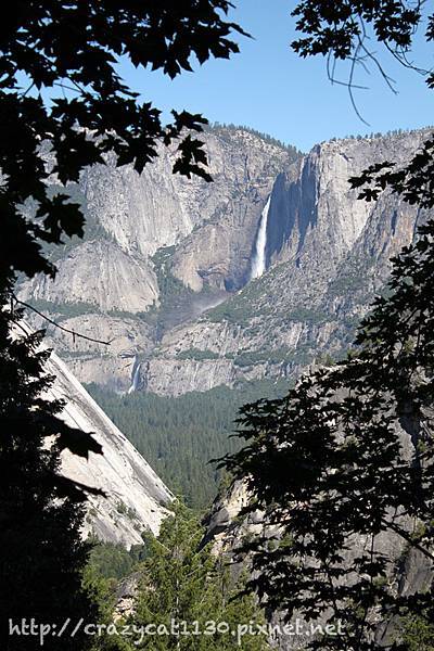 6/27 回望谷地裡的 Yosemite Falls