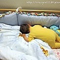 7/7 某天早上竟然睡成這樣.. 整個從被窩裡鑽出來不說,還爬到被子上..