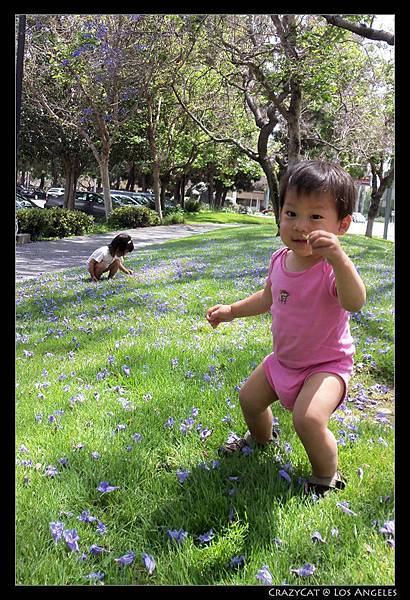 撿花花給媽媽