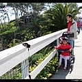 除夕，與奇恩到 La Jolla Beach