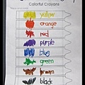 陳小牛學習顏色名