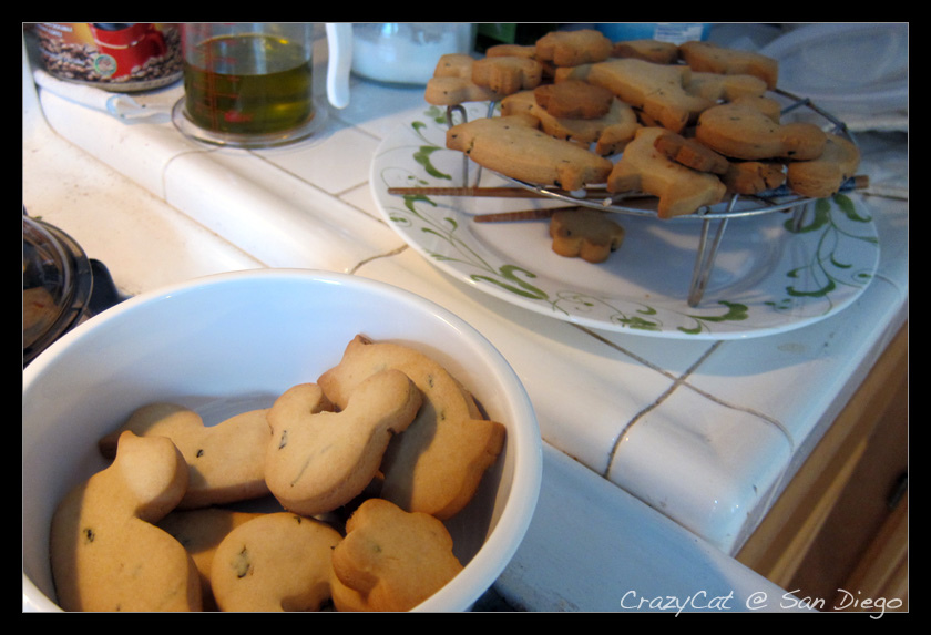 IMG_2261.jpg IMG_2261.jpg