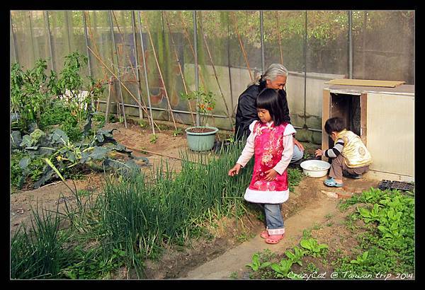 1/30 有時差的除夕清晨還是要撿鴨蛋