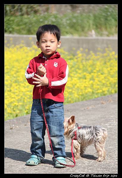 Q寶非常喜歡小狗