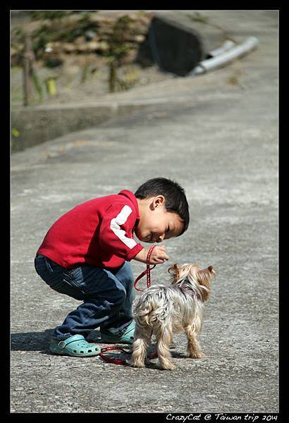 Q寶蹲下來與小狗不知講什麼？