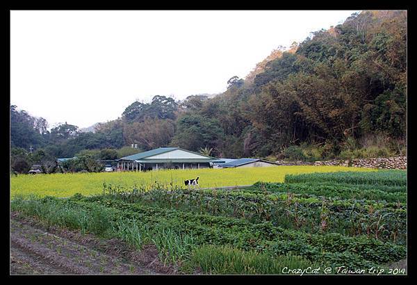 1/31 大年初一的清晨