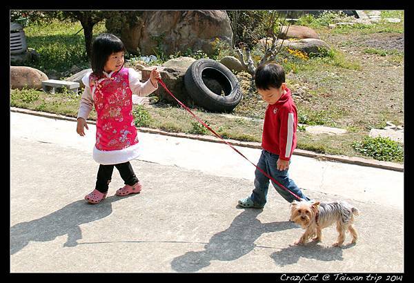 牽舅奶奶的小狗妞妞去散步