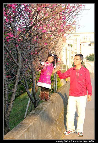 爸爸與他的小情人