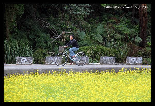 奶奶騎更大台的腳踏車來囉