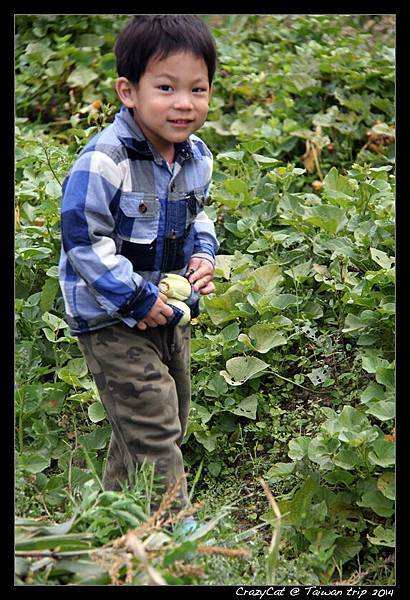 Q寶沒有裙子，硬要學姊姊兜~