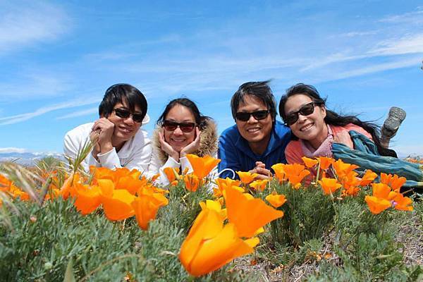 10258558_10151975484830356_4975056429276728596_n