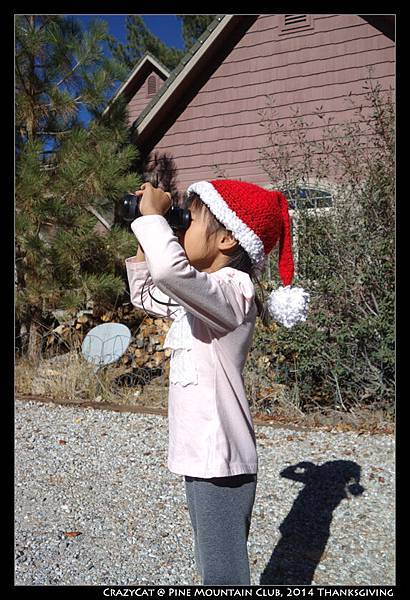 看到什麼了呢？小elfin？