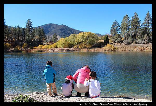 大家在看什麼呢?