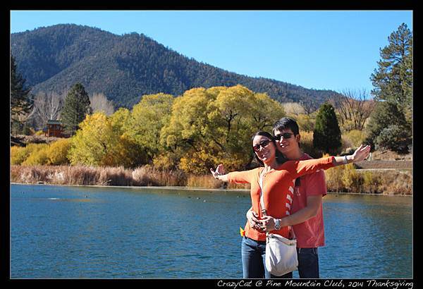 還是讓專業的來吧！