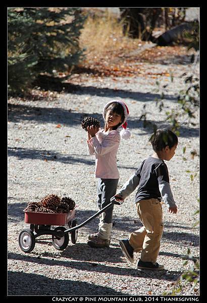 小木屋前裝滿松果的小推車