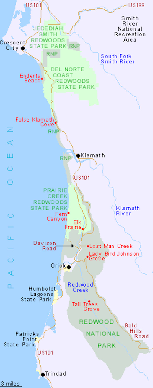 redwoodnp-2.jpg