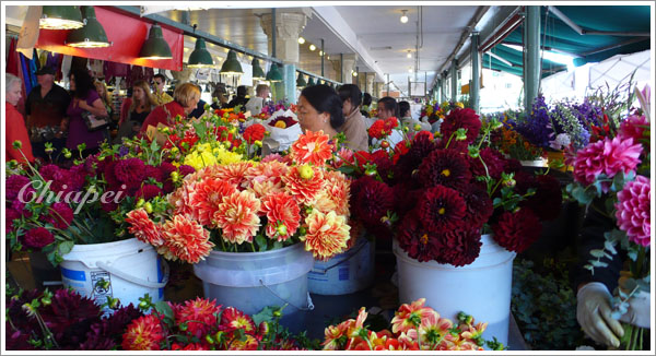 我最愛派克市場裡新鮮嬌豔的花兒