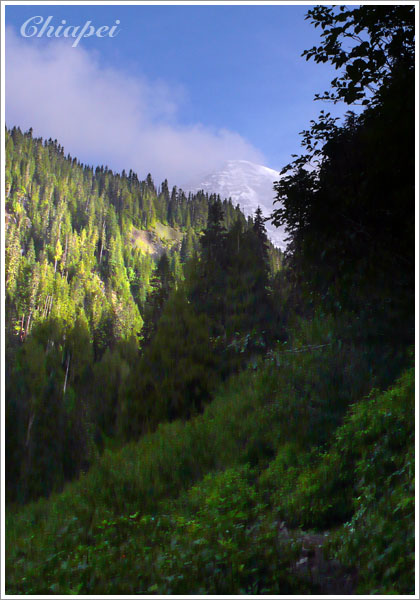 咦？！看見 Rainier 了！