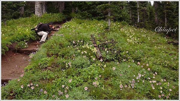 繼續往上走向 Van Trump Park