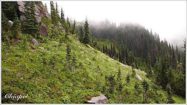 看這情況是見不到 Rainier 了，好可惜...