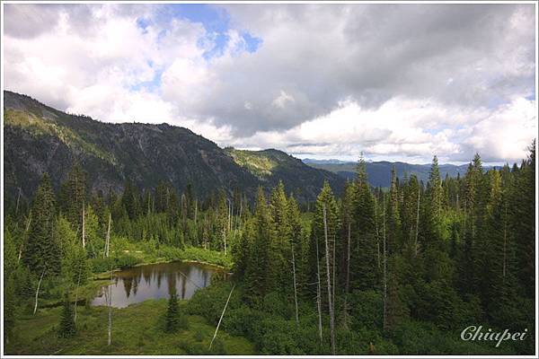 途經的一個小池塘