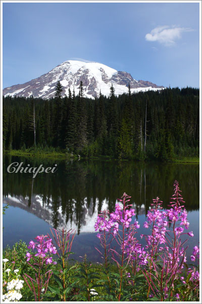 Mt Rainier @ Reflection Lake