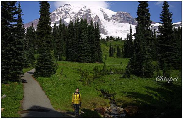 小貓仔與 Rainier