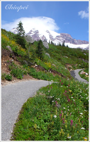 步道起起伏伏並不輕鬆，但是沿途有可愛小花作伴 :D