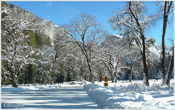 從車窗往外照，如聖誕卡上的景色