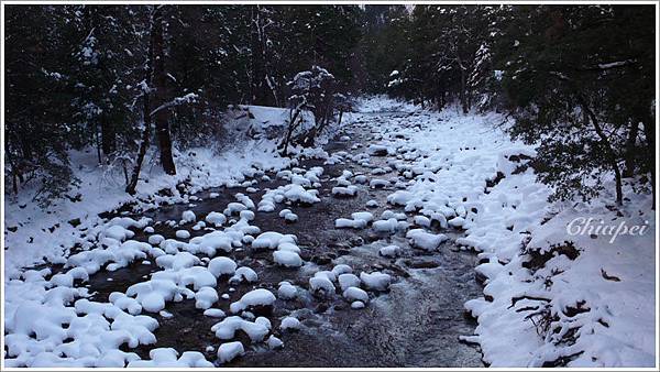Happy Isle 公車站旁的橋