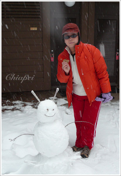 第二天早上下起大雪
