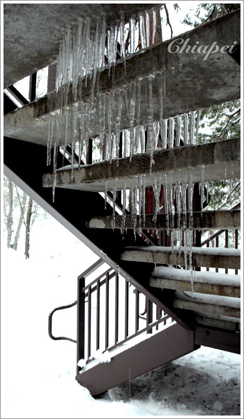 一晚的雪，冰柱可以結這麼長！