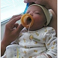 8/4 爸爸幫寶寶剃眉毛