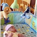 8/23 寶寶很喜歡玩掛在小床上的轉轉轉動物園