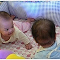 11/26 寶寶與寬寬相見歡!