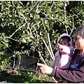 8/1 農場散步（亂指一通）