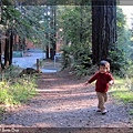 1/17 到校園的森林散步