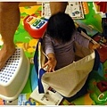 10/8 從袋子裡爬出來
