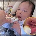 4/17 Q寶的第一顆小牙冒出來啦!