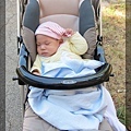 5/26 散步到睡著的Q寶（抓著小帽子很有安全感的樣子）