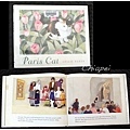 我喜歡的童書 Paris Cat
