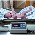 出生體重 3277克（7lb 3.5oz）