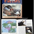 我喜歡的童書 Puffins