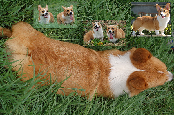Sample.jpg Sample.jpg