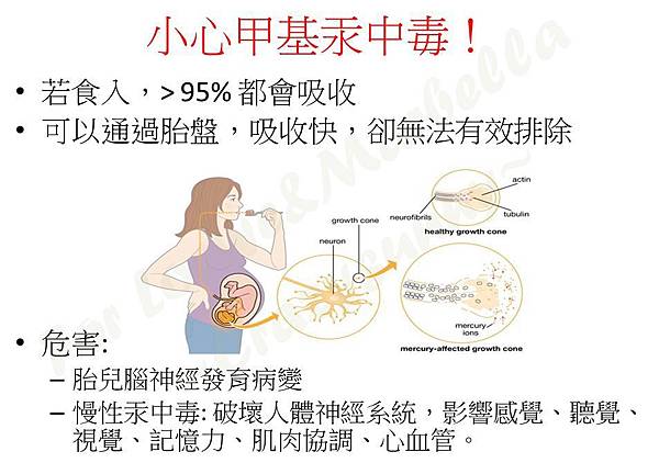 14_结果.jpg 14_结果.jpg