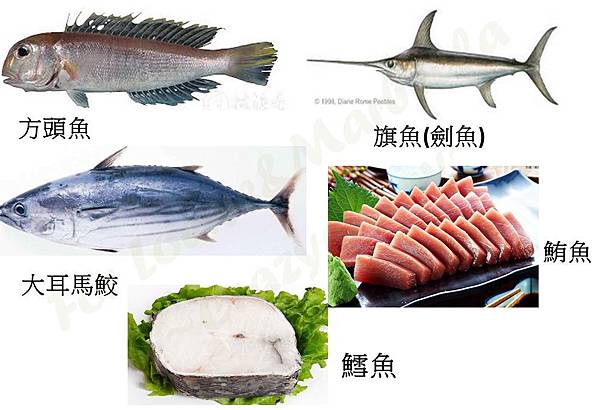 15_结果.jpg 15_结果.jpg